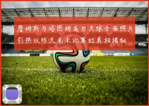 詹姆斯与塔图姆高尔夫球会面照片引热议昨天竟未比赛的真相揭秘