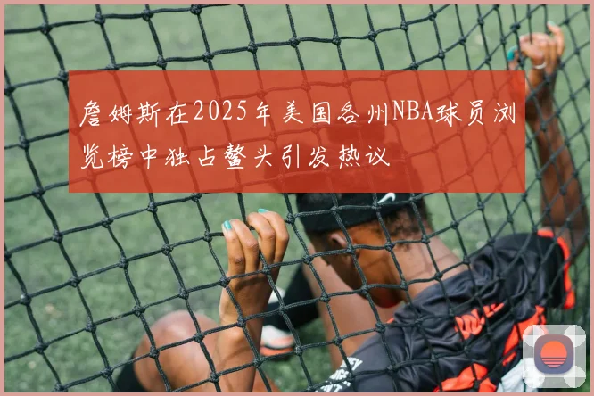 詹姆斯在2025年美国各州NBA球员浏览榜中独占鳌头引发热议