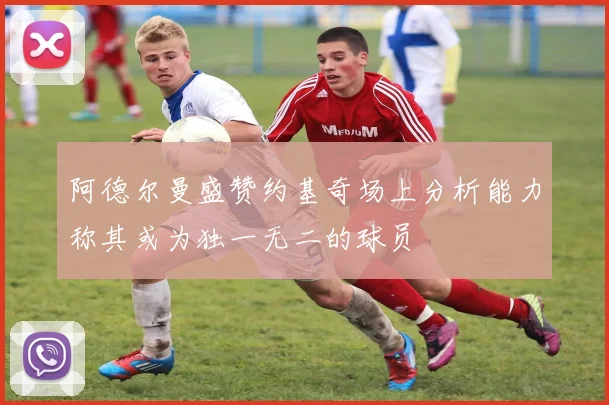 阿德尔曼盛赞约基奇场上分析能力称其或为独一无二的球员